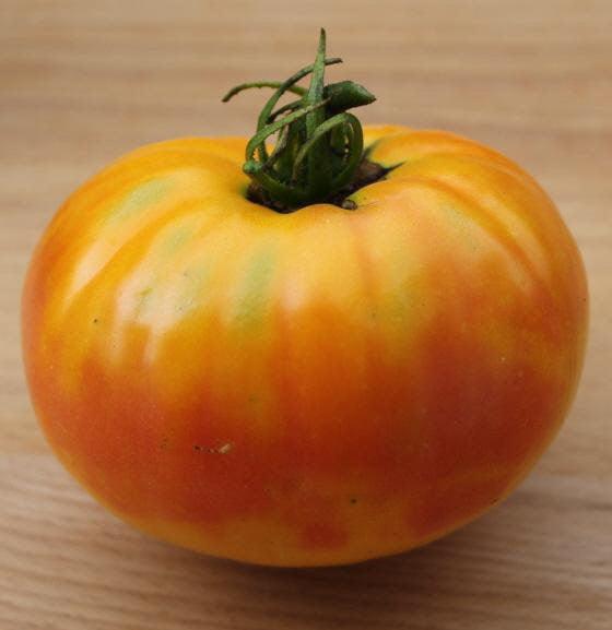 Big Rainbow Tomato - Cheap Seeds, LLC