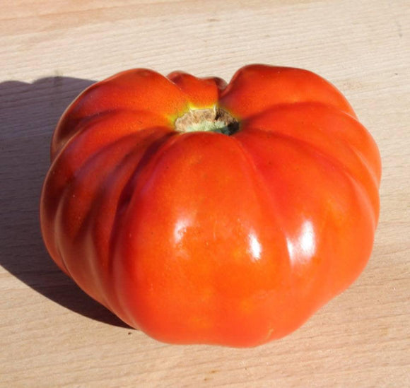 Chianti Rose Tomato - Cheap Seeds, LLC