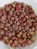 Egyptian Walking Onions - Cheap Seeds, LLC