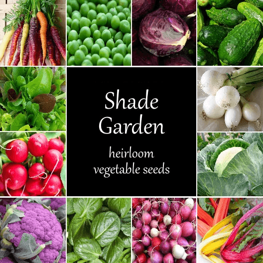 Shade Garden Vegetable Seeds - Cheap Seeds, LLC