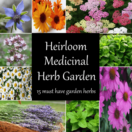 Heirloom Medicinal Herb Garden - Cheap Seeds, LLC