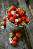 Alexandria Alpine Strawberry