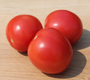 Amish Salad Tomatoes - Cheap Seeds, LLC