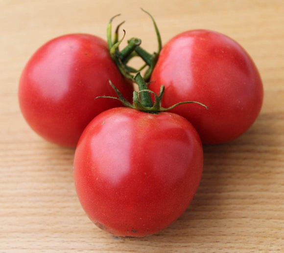 Arkansas Traveler Tomato - Cheap Seeds, LLC