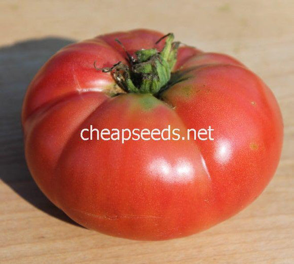 Aunt Lou's Underground Railroad Tomato - Cheap Seeds, LLC