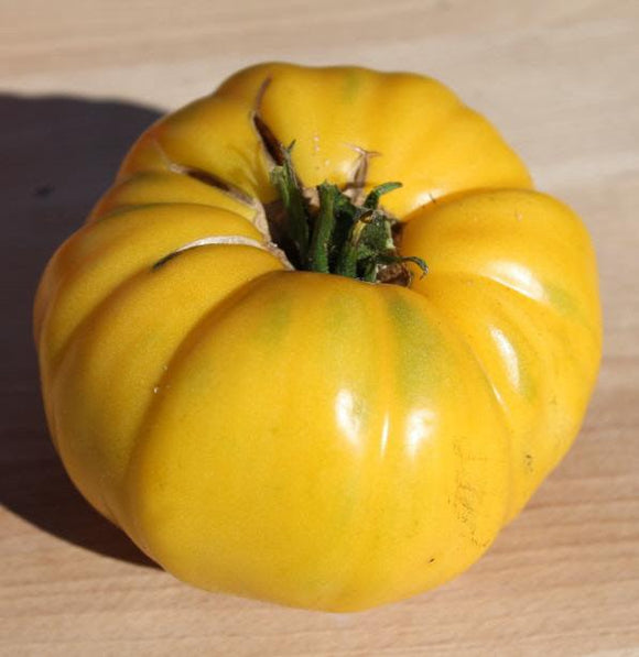 Azoychka Tomato - Cheap Seeds, LLC