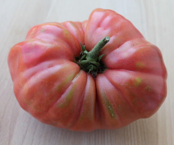 Bear Claw Tomato - Cheap Seeds, LLC