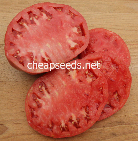 Blue Ridge Mountain Tomato - Cheap Seeds, LLC