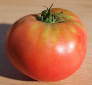 Buckeye State Tomato - Cheap Seeds, LLC