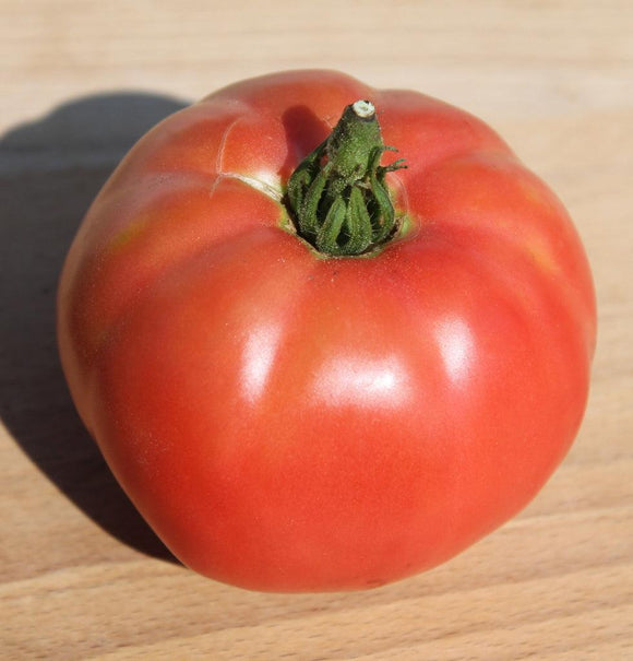 Carol Chyko's Big Paste Tomato - Cheap Seeds, LLC