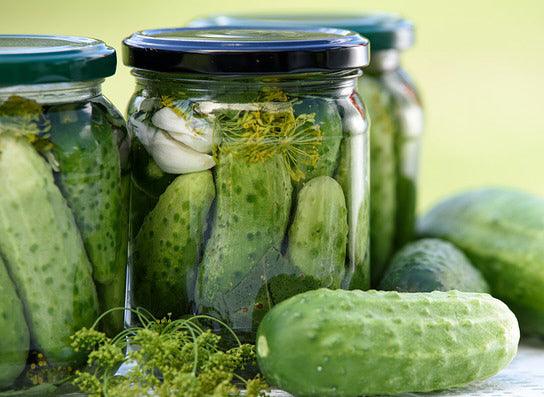 Early Green Cluster Cucumber - Cheap Seeds, LLC