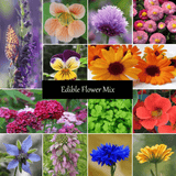 Edible Flower Seed Mixture - Cheap Seeds, LLC