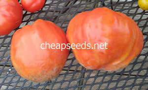 Goat Bag Tomato - Cheap Seeds, LLC