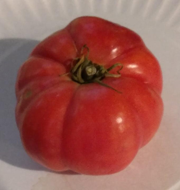 Heatherington Pink Tomato - Cheap Seeds, LLC