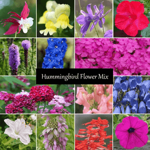 Hummingbird Flower Seed Mixture - Cheap Seeds, LLC