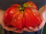 Irish Tomato - Cheap Seeds, LLC