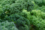 Kale Garden Blend - Cheap Seeds, LLC