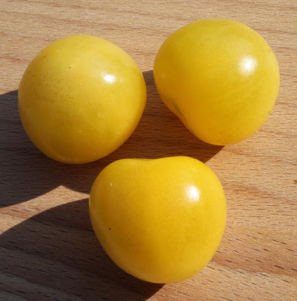 Lemon Drop Tomato - Cheap Seeds, LLC