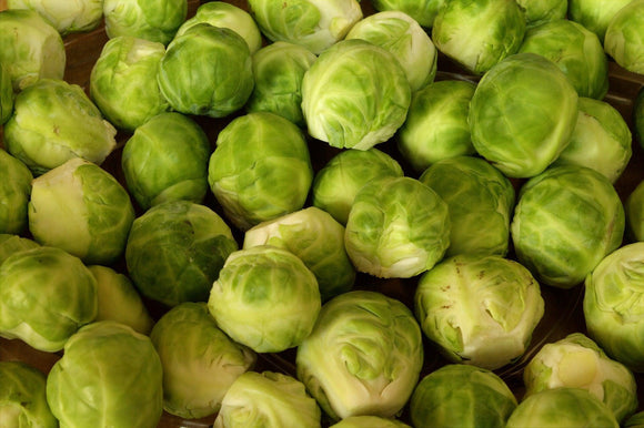Long Island Brussel Sprouts - Cheap Seeds, LLC