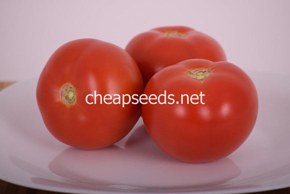Mamie Brown's Pink Tomato - Cheap Seeds, LLC