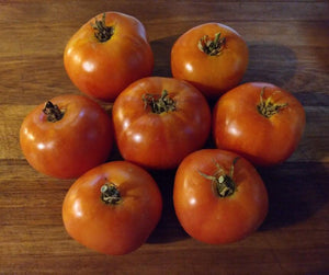 Mountain Princess Tomato - Cheap Seeds, LLC