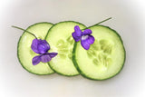 Muncher Cucumber - Cheap Seeds, LLC
