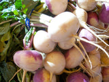 Purple Top White Globe Turnip - Cheap Seeds, LLC