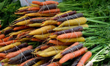 Rainbow Blend Carrot Mix