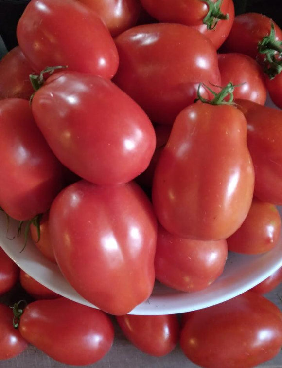 Roma Tomatoes - Cheap Seeds, LLC
