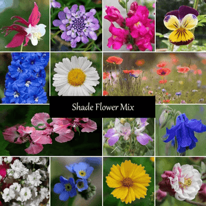 Shade Flower Seed Mixture - Cheap Seeds, LLC