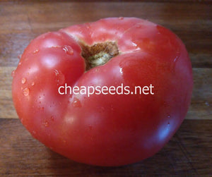 Stone Tomato - Cheap Seeds, LLC