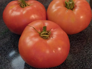 Watermelon Beefsteak Tomato - Cheap Seeds, LLC