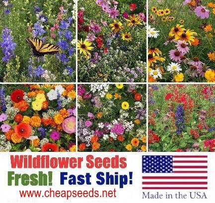 Wildflowers Seeds Choose Your Variety - Cheap Seeds, LLC