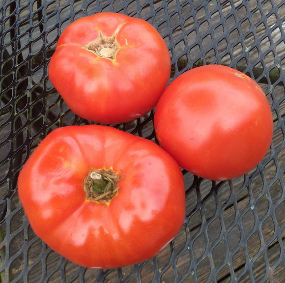 Delicious Tomato - Cheap Seeds, LLC