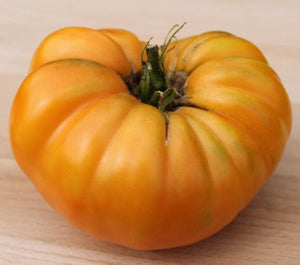Dr Wyche's Yellow Tomato - Cheap Seeds, LLC