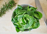 Giant Noble Spinach - Cheap Seeds, LLC