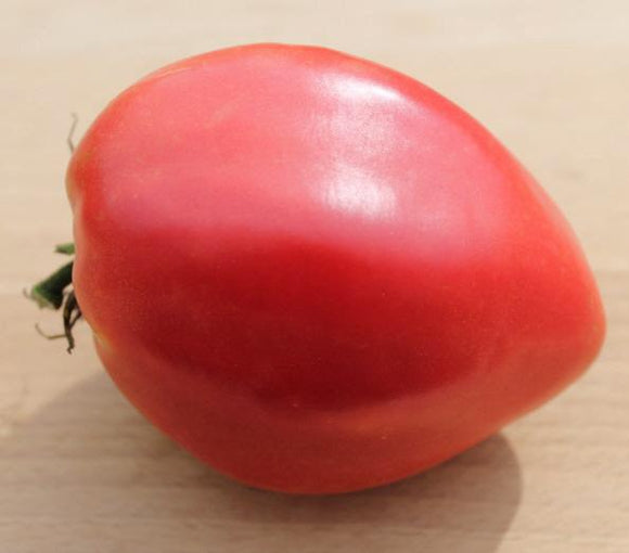 Hays' Tomato - Cheap Seeds, LLC