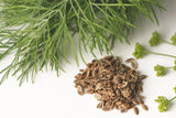 Heirloom Herb Seeds - Choose from List - Cheap Seeds, LLC