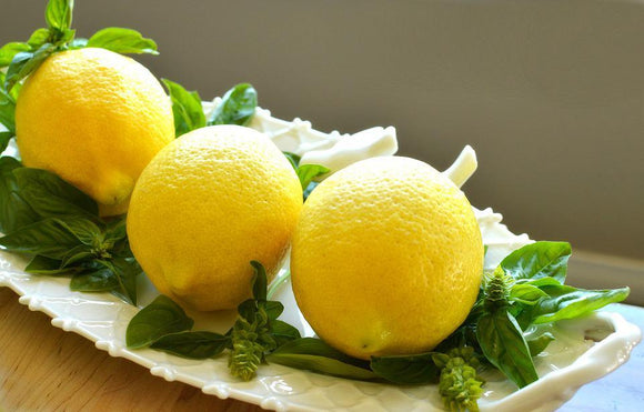 Lemon Basil - Cheap Seeds, LLC