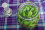 Mexican Sour Gerkin Cucumber - Cheap Seeds, LLC