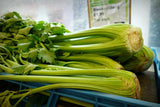 Tall Utah 52 Celery - Cheap Seeds, LLC